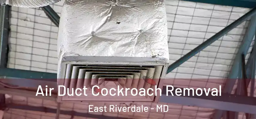  Air Duct Cockroach Removal East Riverdale - MD