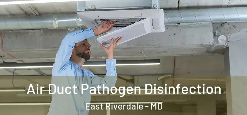  Air Duct Pathogen Disinfection East Riverdale - MD