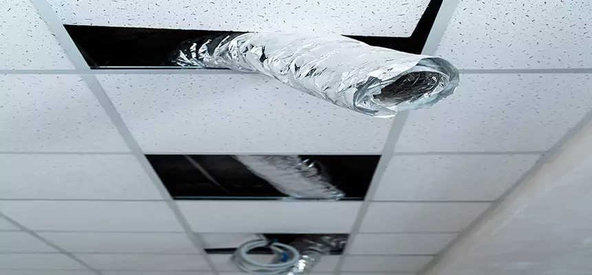 Affordable HVAC Sanitizing After Pest Removal in East Riverdale