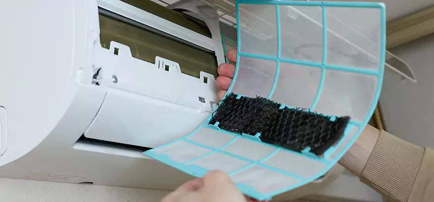 Gentle Ductwork Odor-Control Pet Dander Duct Cleaning in East Riverdale, MD