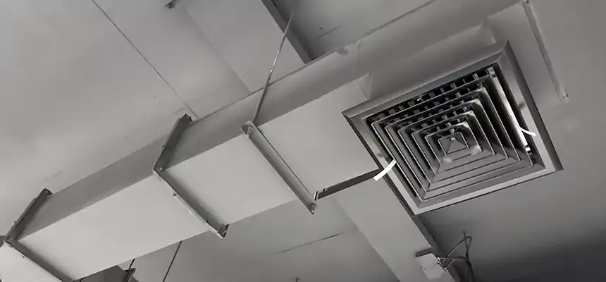 Our Rodent Droppings In Vents Services in East Riverdale, MD