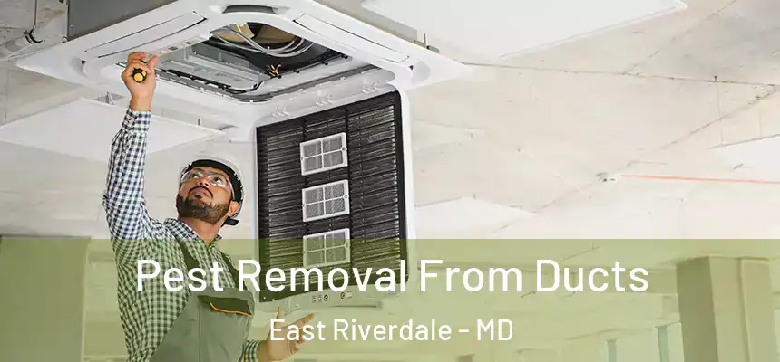  Pest Removal From Ducts East Riverdale - MD