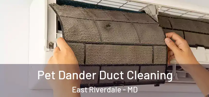 Pet Dander Duct Cleaning East Riverdale - MD