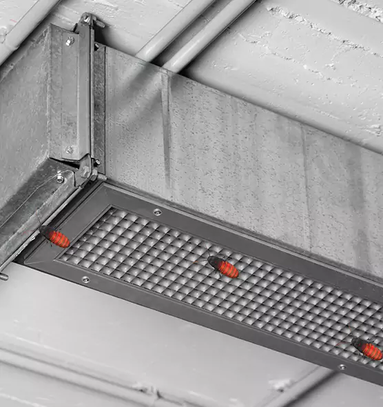 About Air Duct Cockroach Removal in East Riverdale, MD