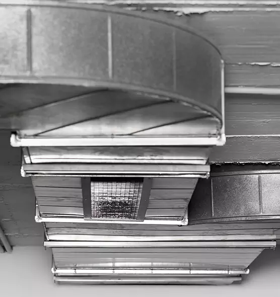 Professional Air Duct Pet Hair Removal in East Riverdale, MD