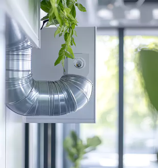 Professional Eco-Safe Dryer Vent Cleaning in East Riverdale, MD