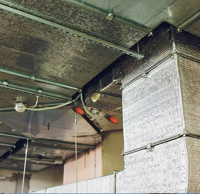 Why Homeowners & Businesses Trust Us in East Riverdale, MD?