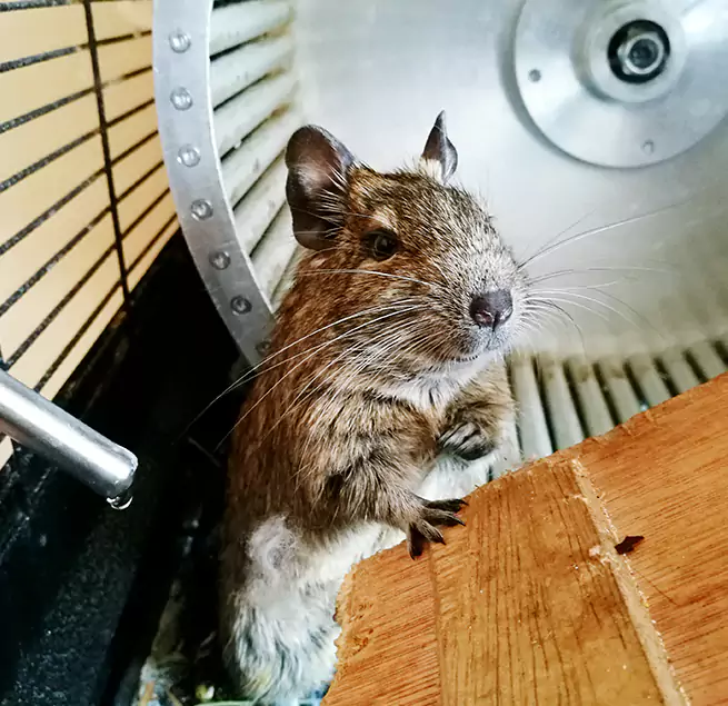 Why Homeowners & Businesses Trust Us East Riverdale, MD?